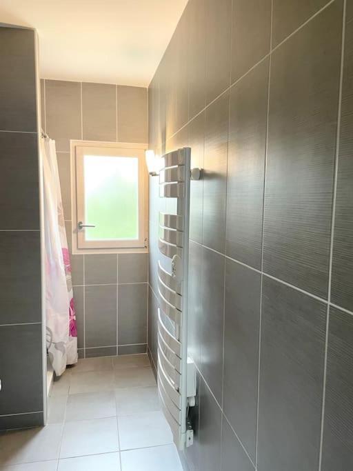 Appartement T2 Lumineux, Tres Bien Equipe, Proche Centre-Ville Salies-de-Béarn Kültér fotó