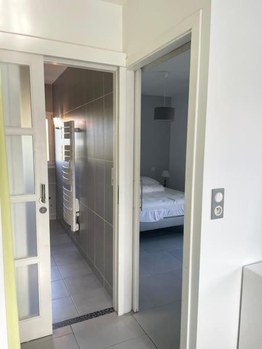 Appartement T2 Lumineux, Tres Bien Equipe, Proche Centre-Ville Salies-de-Béarn Kültér fotó