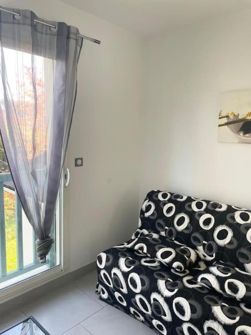 Appartement T2 Lumineux, Tres Bien Equipe, Proche Centre-Ville Salies-de-Béarn Kültér fotó