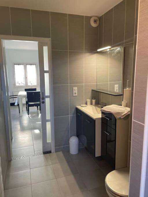 Appartement T2 Lumineux, Tres Bien Equipe, Proche Centre-Ville Salies-de-Béarn Kültér fotó